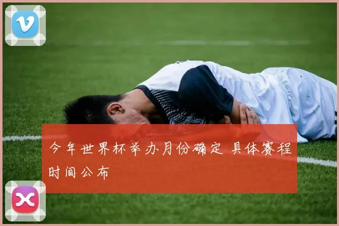 今年世界杯举办月份确定 具体赛程时间公布