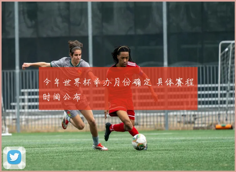 今年世界杯举办月份确定 具体赛程时间公布