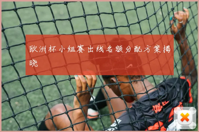 欧洲杯小组赛出线名额分配方案揭晓