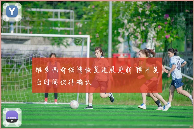 维多西奇伤情恢复进展更新 预计复出时间仍待确认