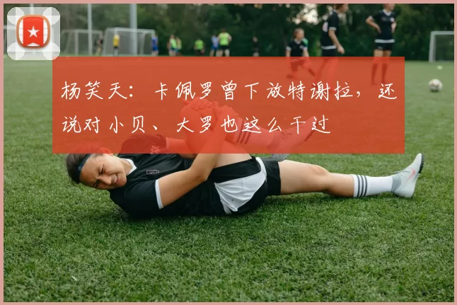 杨笑天：卡佩罗曾下放特谢拉，还说对小贝、大罗也这么干过